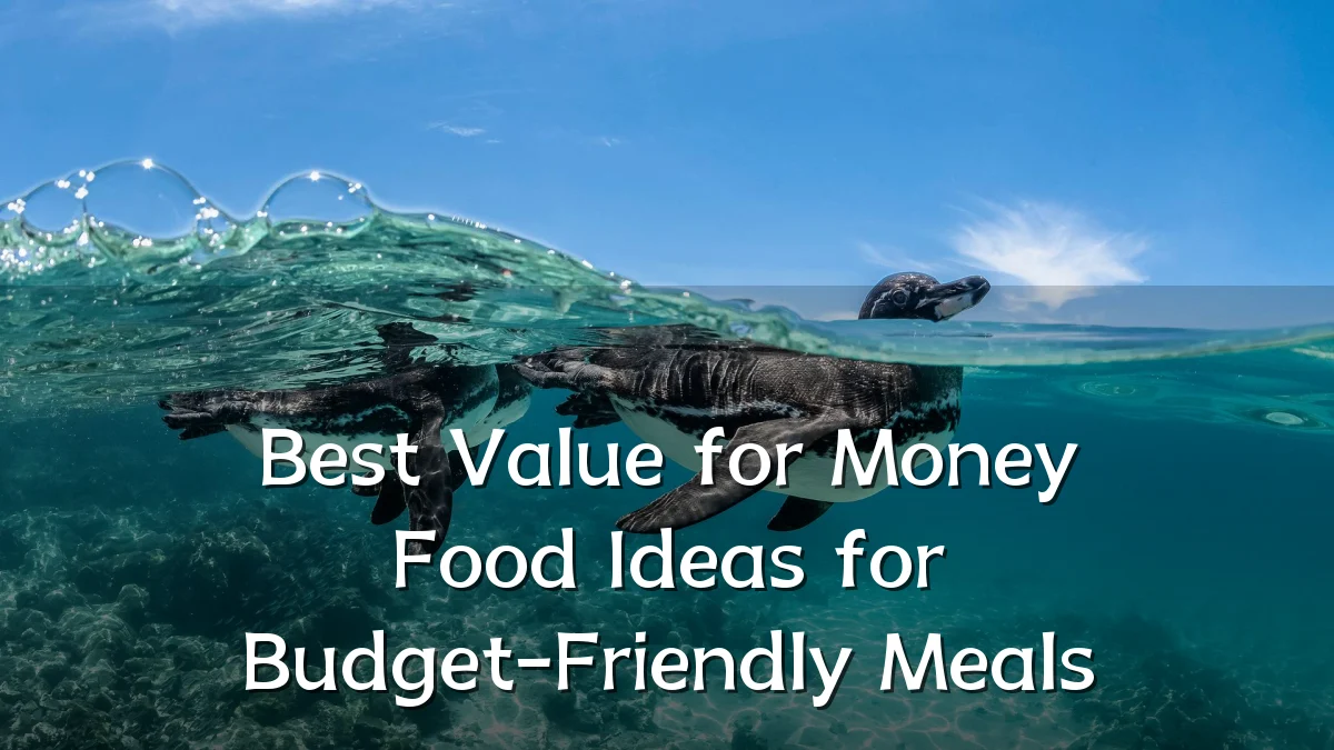 Best Value for Money Food Ideas for Budget-Friendly Meals