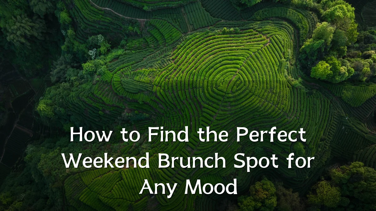 How to Find the Perfect Weekend Brunch Spot for Any Mood