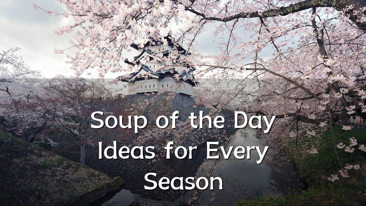 Soup of the Day Ideas for Every Season