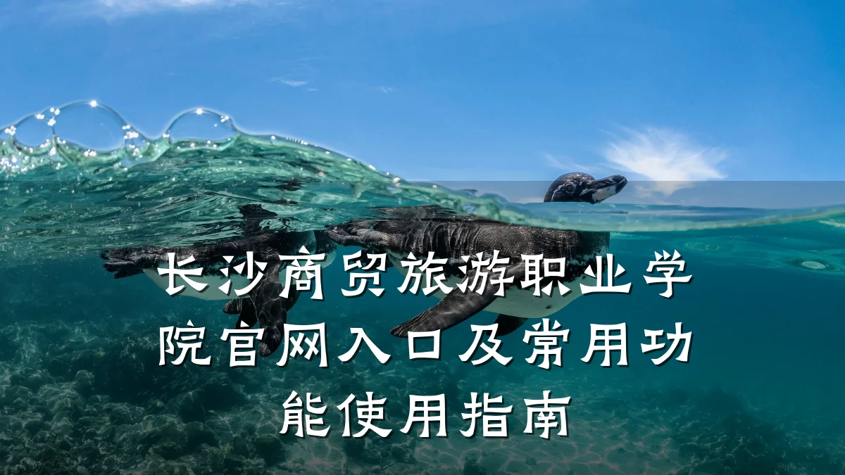 长沙商贸旅游职业学院官网入口及常用功能使用指南