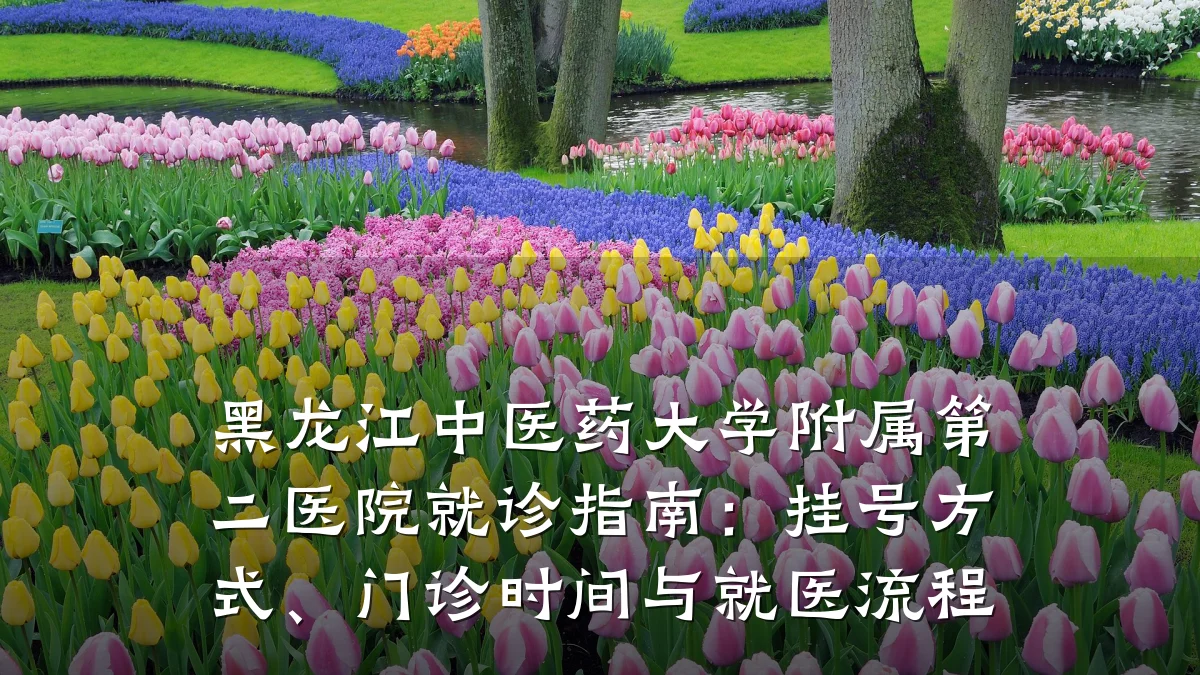 黑龙江中医药大学附属第二医院就诊指南：挂号方式、门诊时间与就医流程