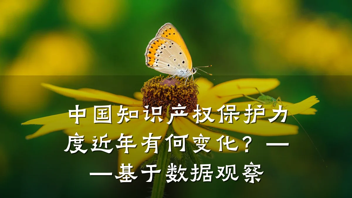 中国知识产权保护力度近年有何变化?——基于数据观察