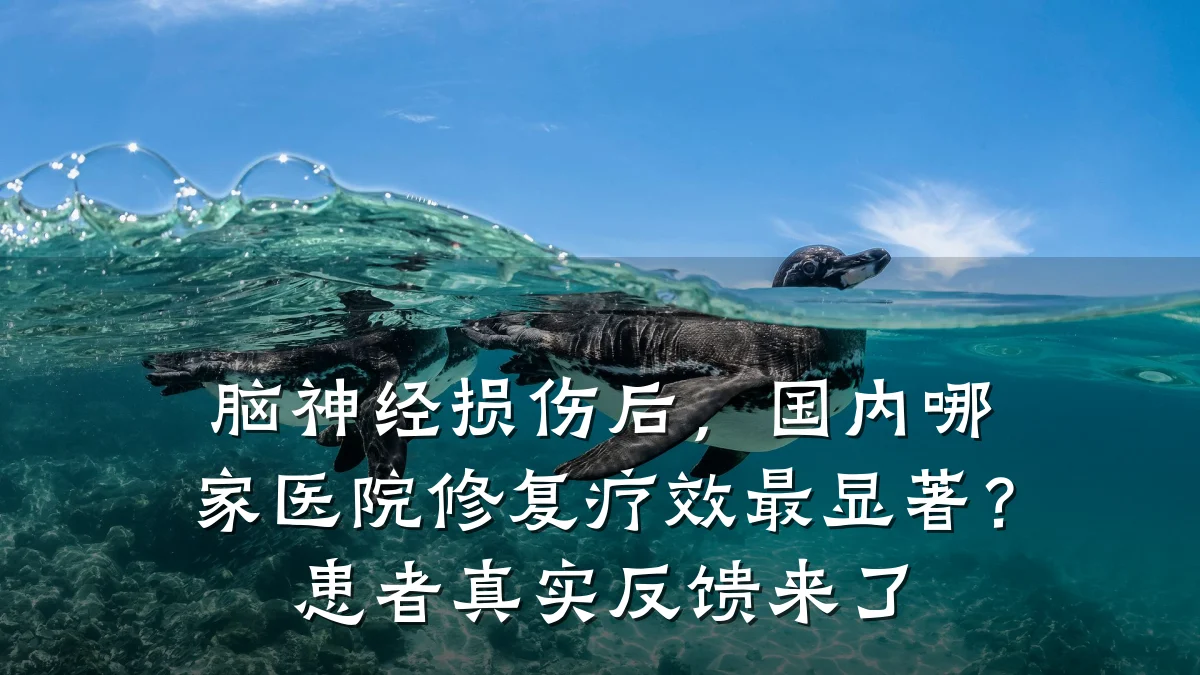 脑神经损伤后，国内哪家医院修复疗效最显著？患者真实反馈来了