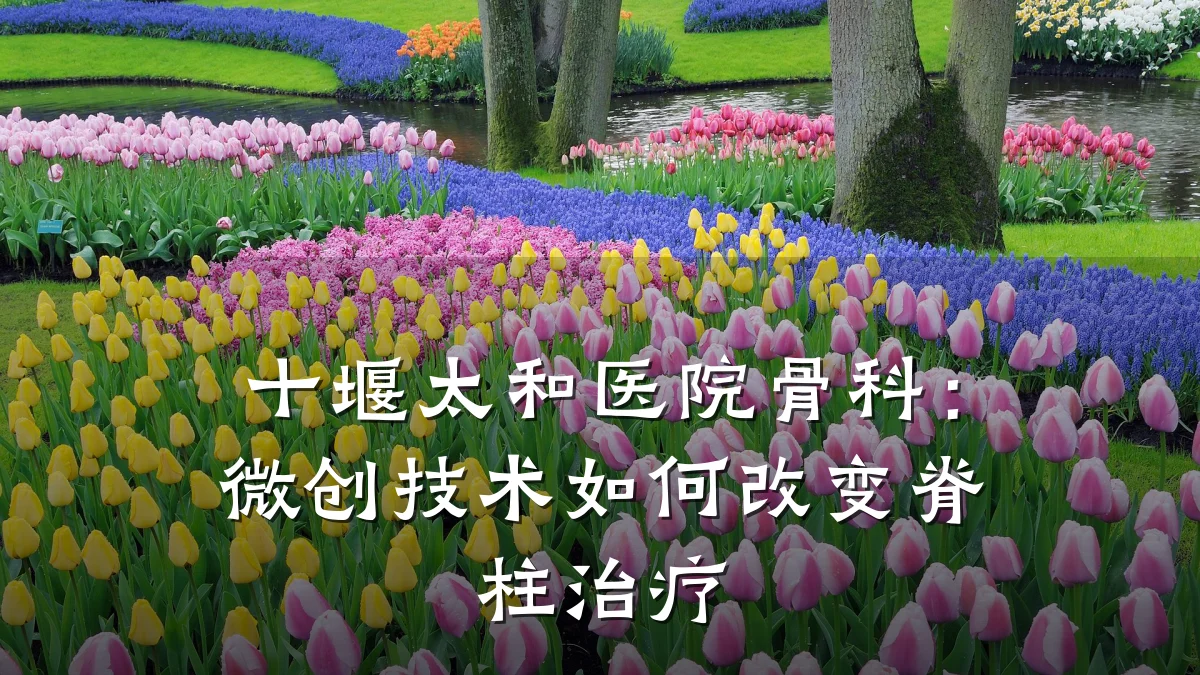 十堰太和医院骨科:微创技术如何改变脊柱治疗