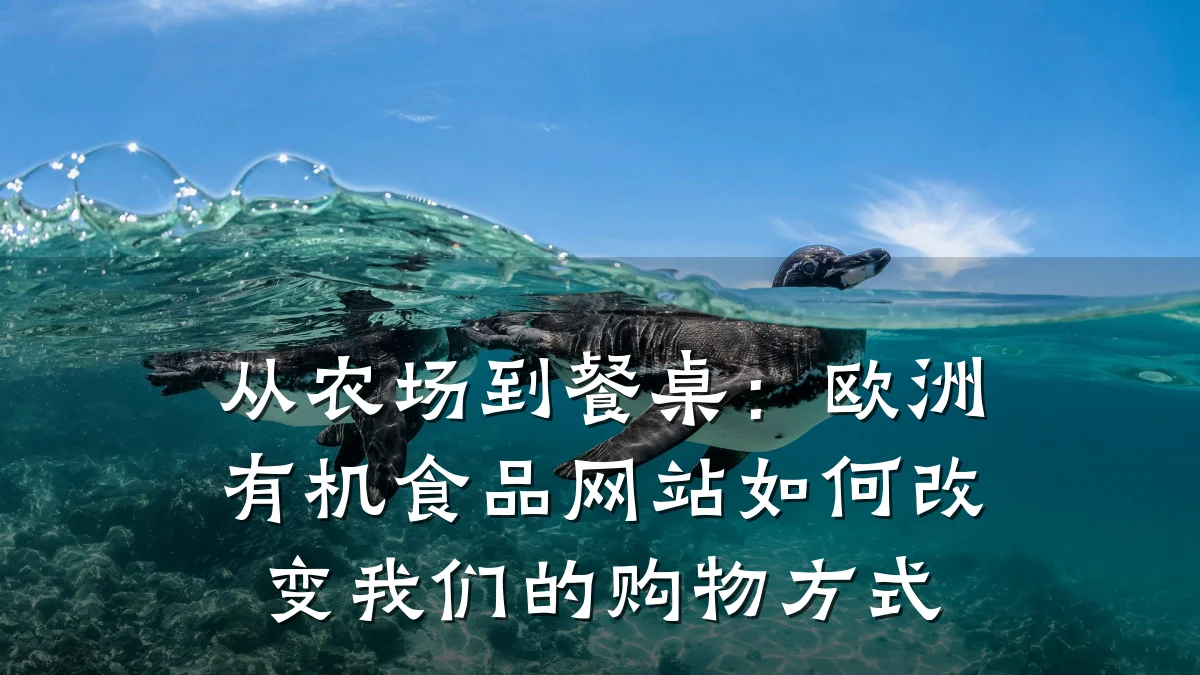 从农场到餐桌:欧洲有机食品网站如何改变我们的购物方式