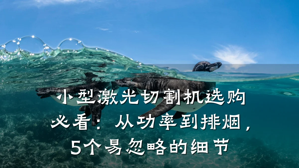 小型激光切割机选购必看：从功率到排烟，5个易忽略的细节