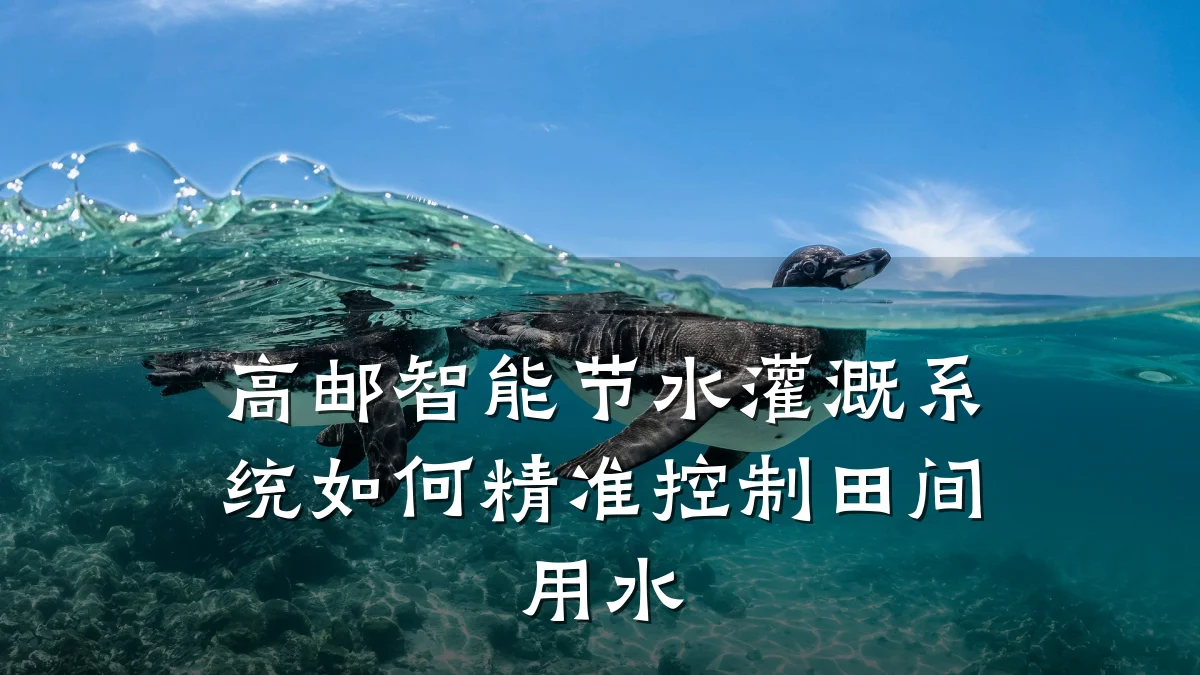 高邮智能节水灌溉系统如何精准控制田间用水