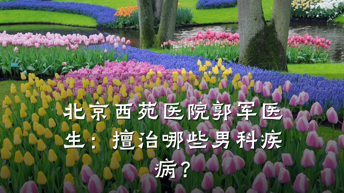 北京西苑医院郭军医生：擅治哪些男科疾病？