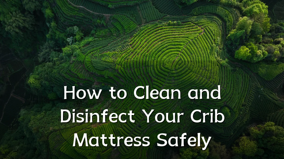 How to Clean and Disinfect Your Crib Mattress Safely