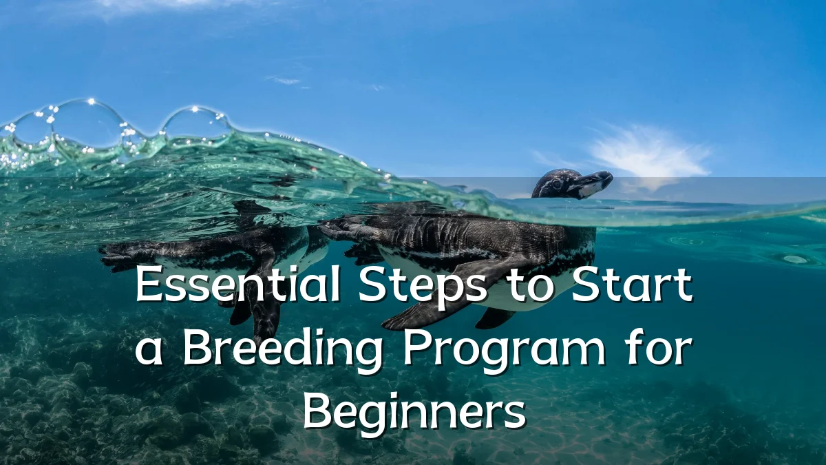 Essential Steps to Start a Breeding Program for Beginners