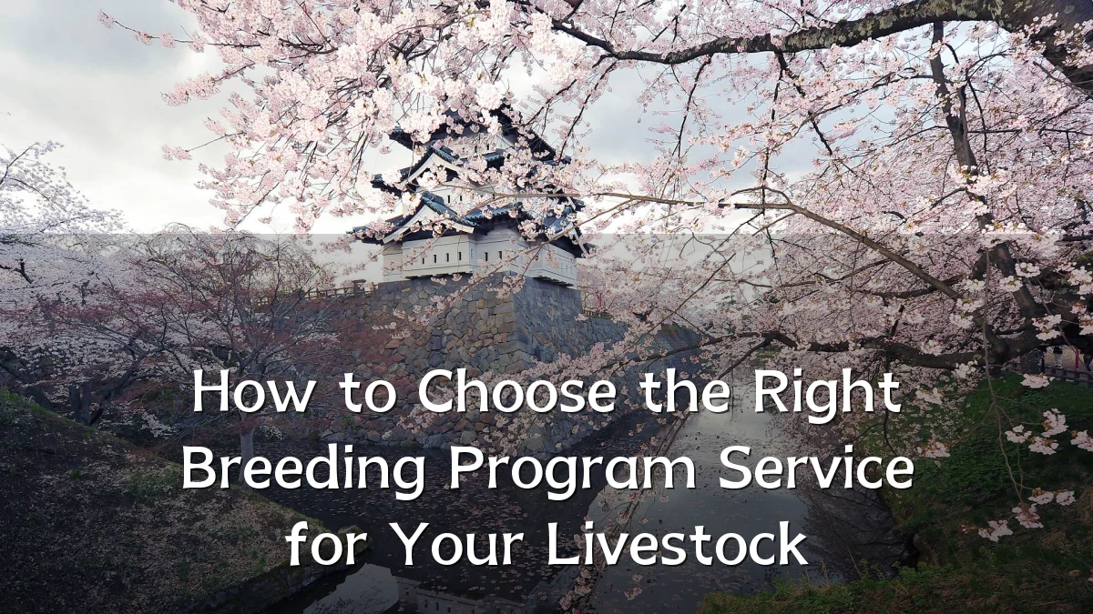 How to Choose the Right Breeding Program Service for Your Livestock
