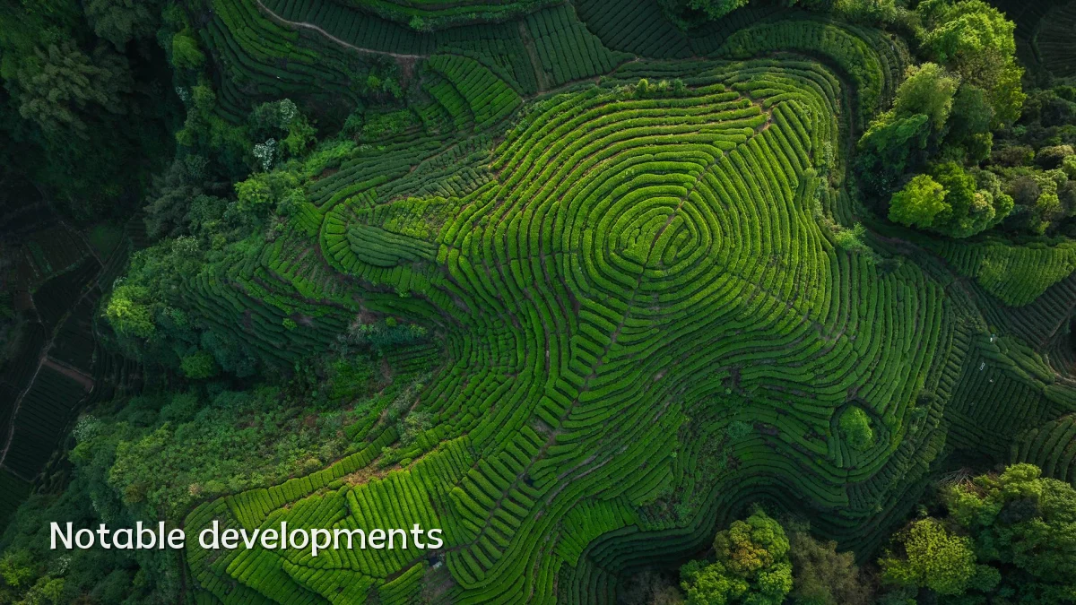 Notable developments