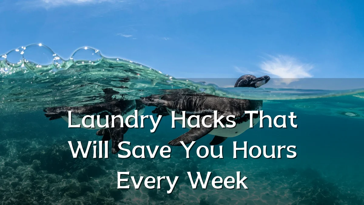 Laundry Hacks That Will Save You Hours Every Week