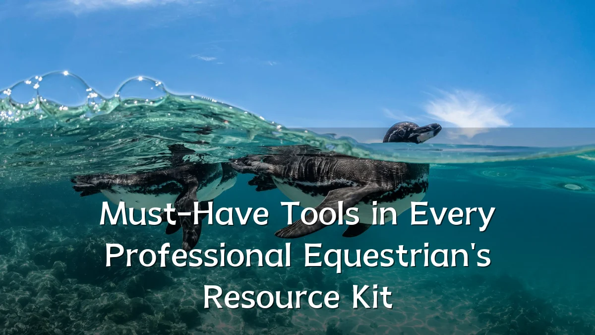 Must-Have Tools in Every Professional Equestrian's Resource Kit