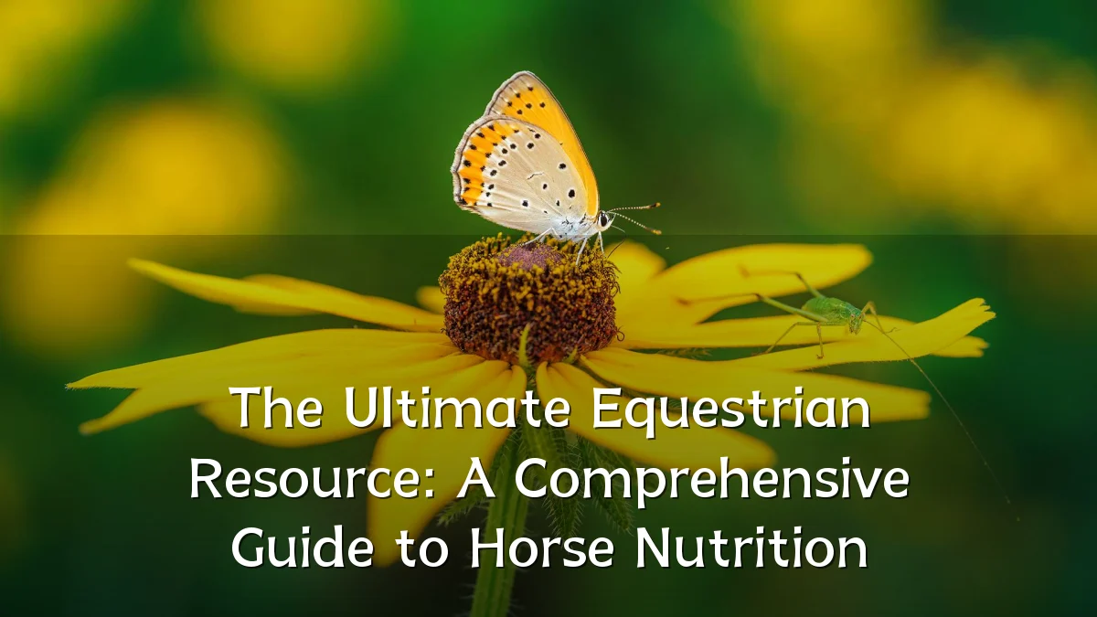 The Ultimate Equestrian Resource: A Comprehensive Guide to Horse Nutrition