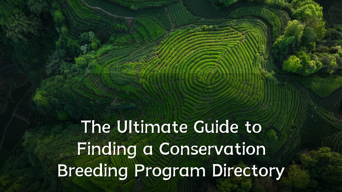 The Ultimate Guide to Finding a Conservation Breeding Program Directory