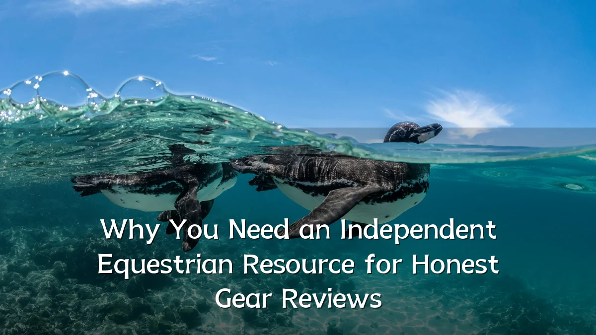 Why You Need an Independent Equestrian Resource for Honest Gear Reviews