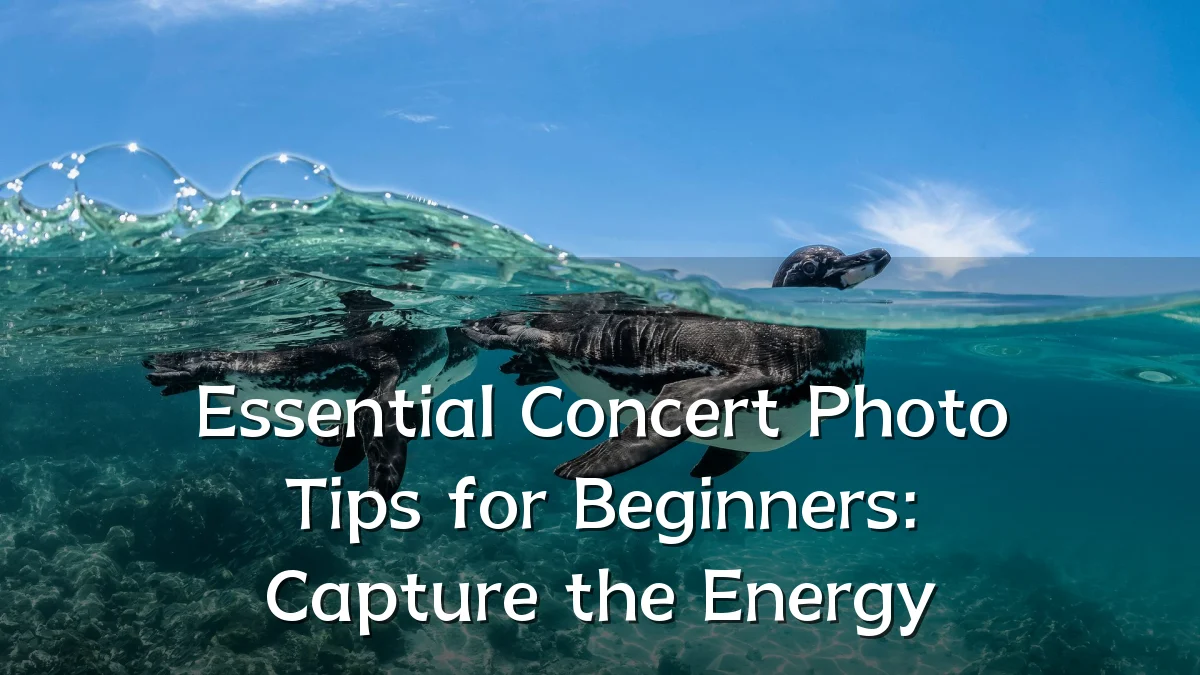Essential Concert Photo Tips for Beginners: Capture the Energy