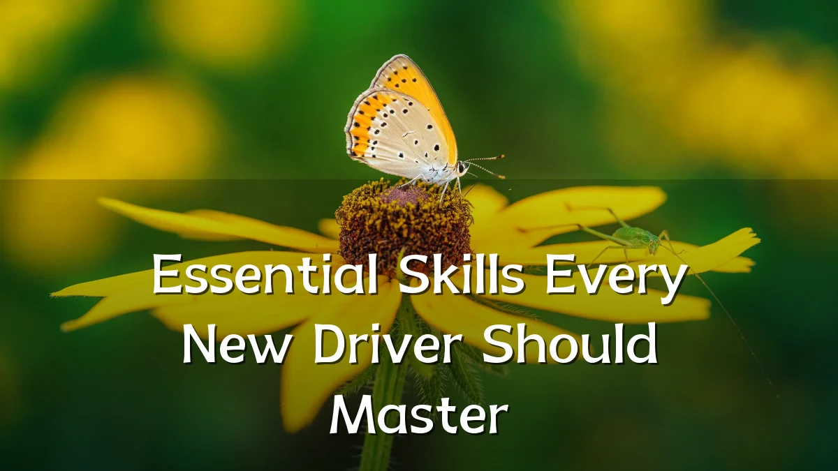 Essential Skills Every New Driver Should Master
