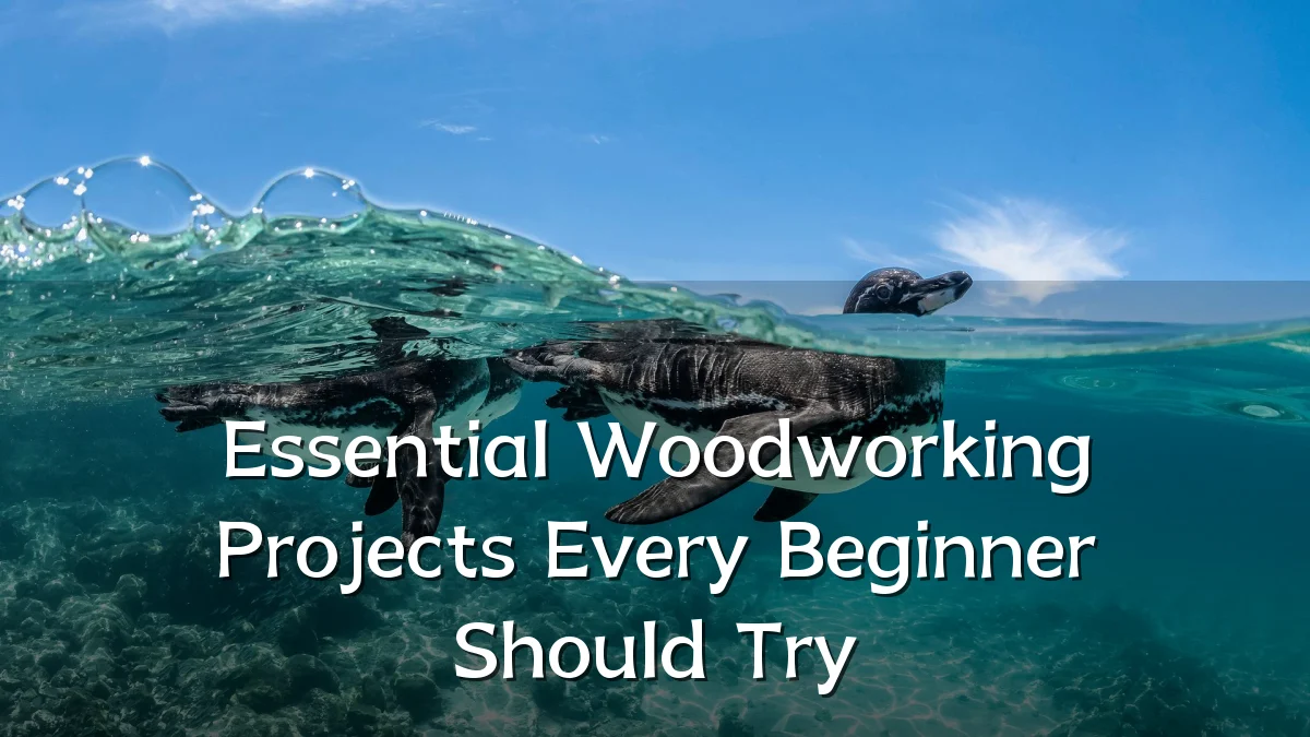 Essential Woodworking Projects Every Beginner Should Try