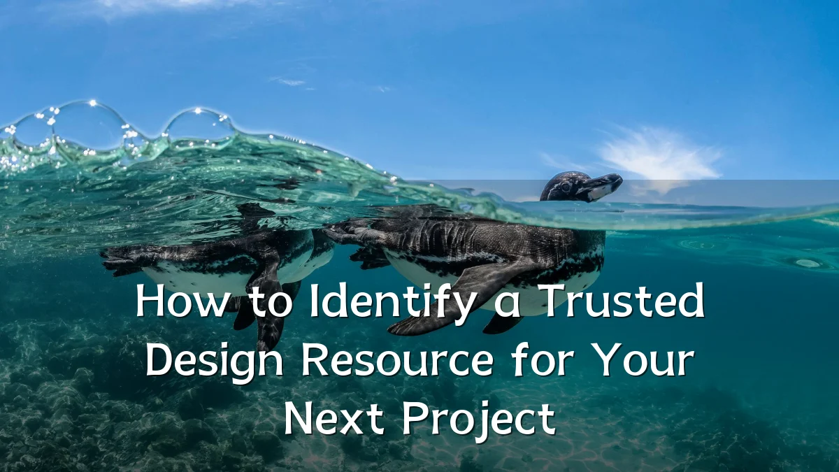 How to Identify a Trusted Design Resource for Your Next Project