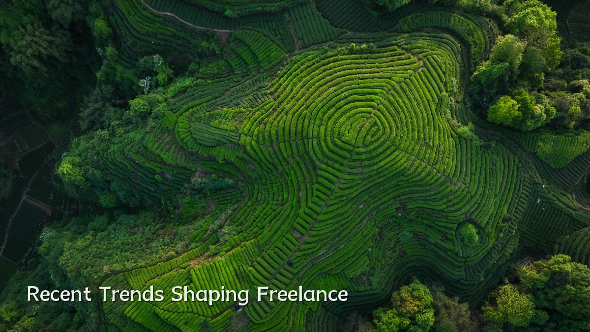 Recent Trends Shaping Freelance