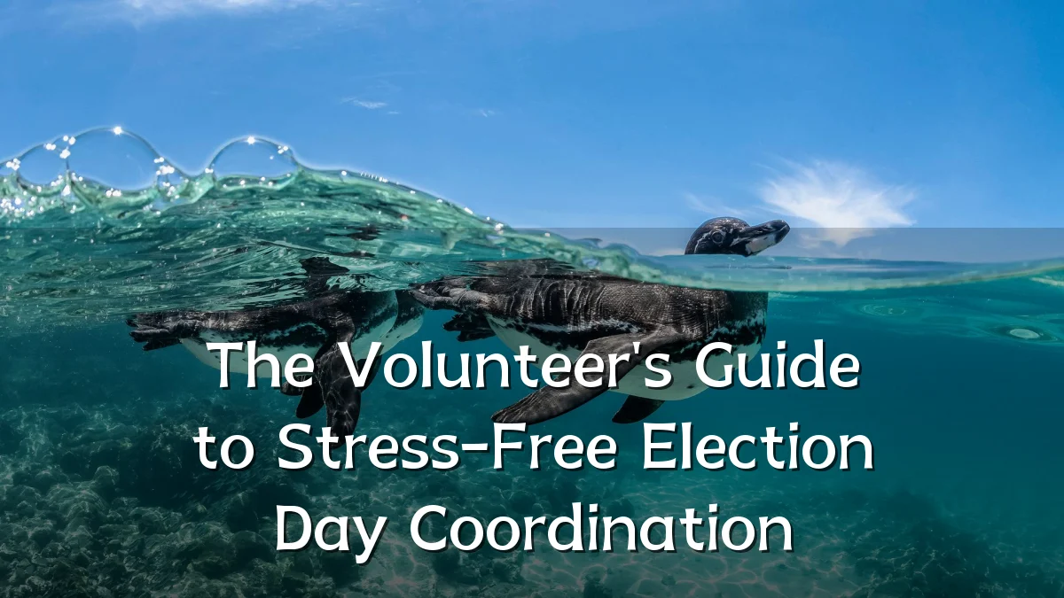 The Volunteer's Guide to Stress-Free Election Day Coordination