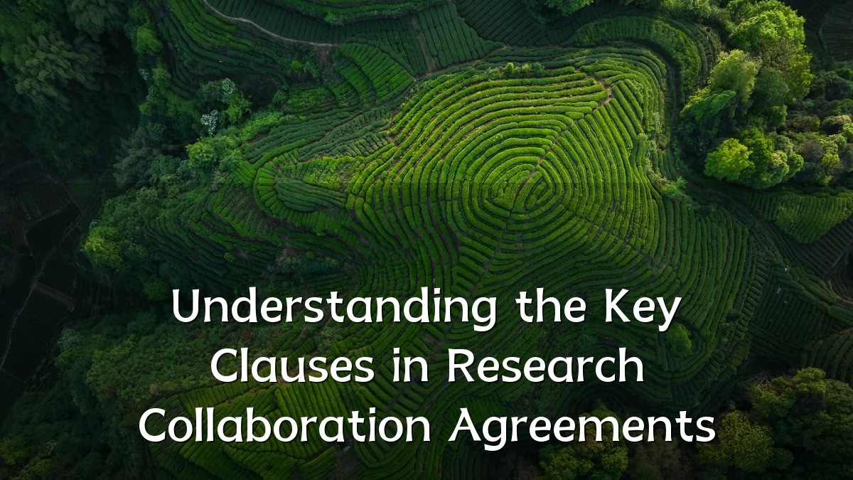 Understanding the Key Clauses in Research Collaboration Agreements