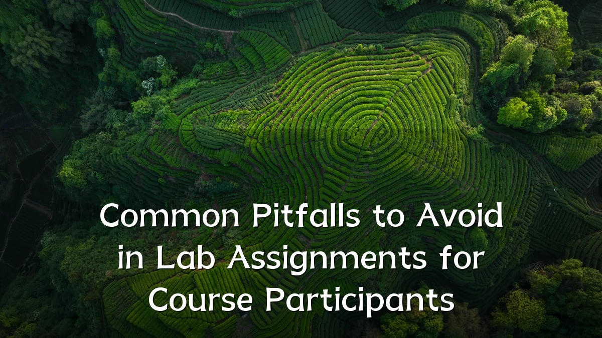 Common Pitfalls to Avoid in Lab Assignments for Course Participants
