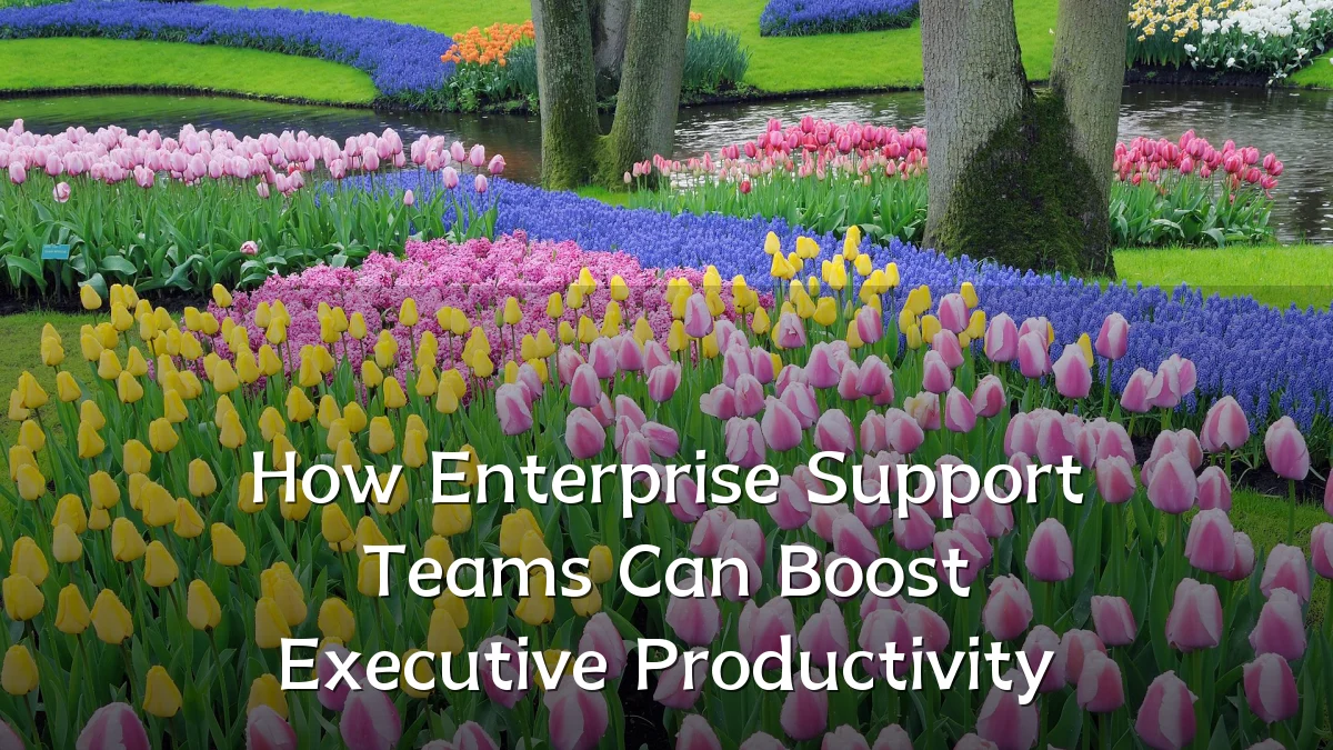How Enterprise Support Teams Can Boost Executive Productivity