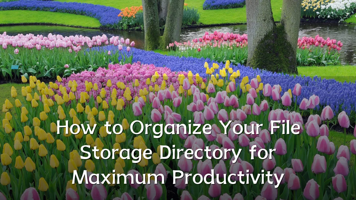 How to Organize Your File Storage Directory for Maximum Productivity