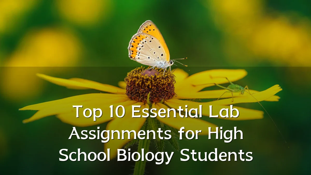 Top 10 Essential Lab Assignments for High School Biology Students