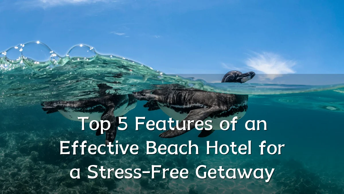 Top 5 Features of an Effective Beach Hotel for a Stress-Free Getaway