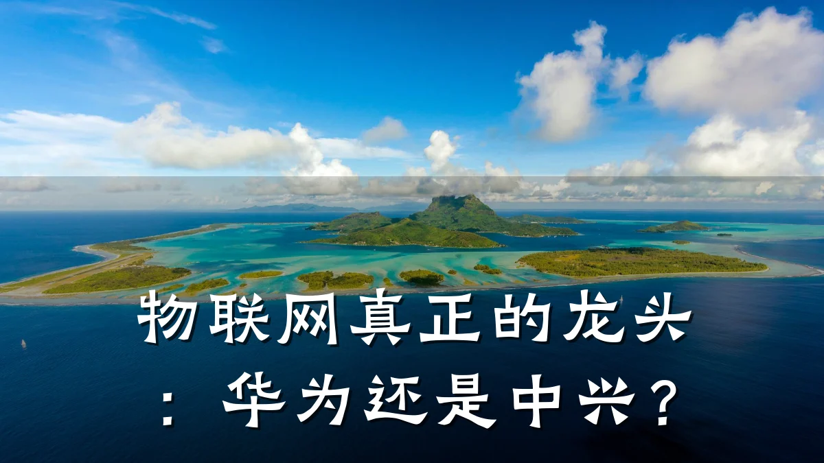物联网真正的龙头:华为还是中兴?