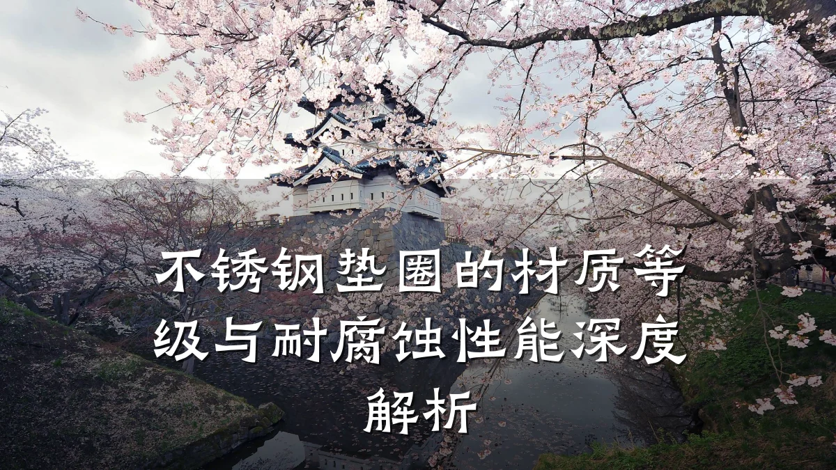 不锈钢垫圈的材质等级与耐腐蚀性能深度解析