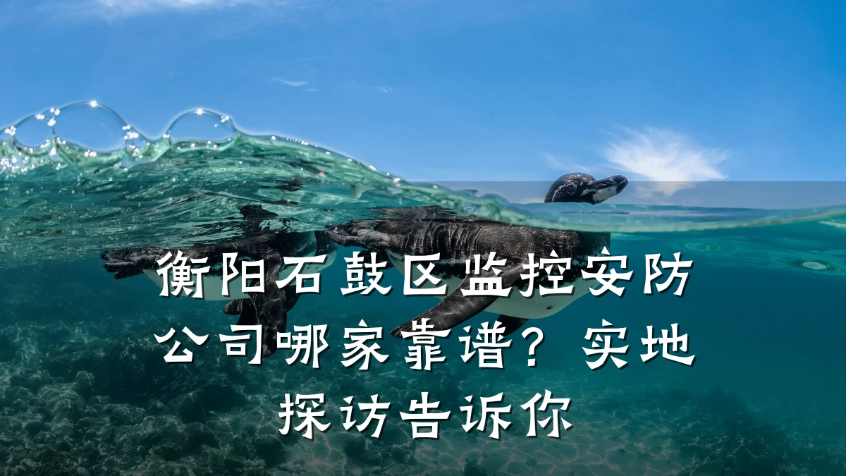 衡阳石鼓区监控安防公司哪家靠谱?实地探访告诉你