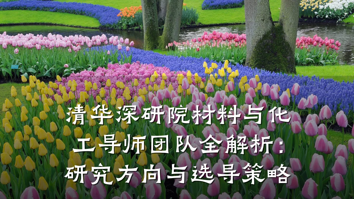 清华深研院材料与化工导师团队全解析:研究方向与选导策略