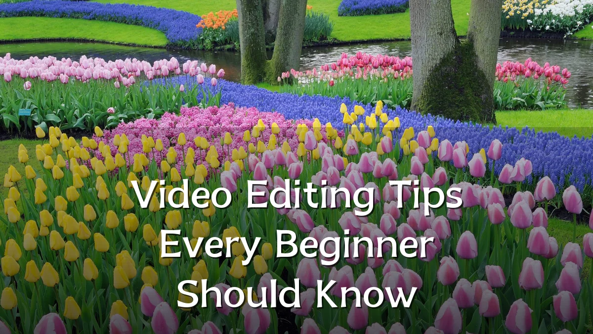 Video Editing Tips Every Beginner Should Know