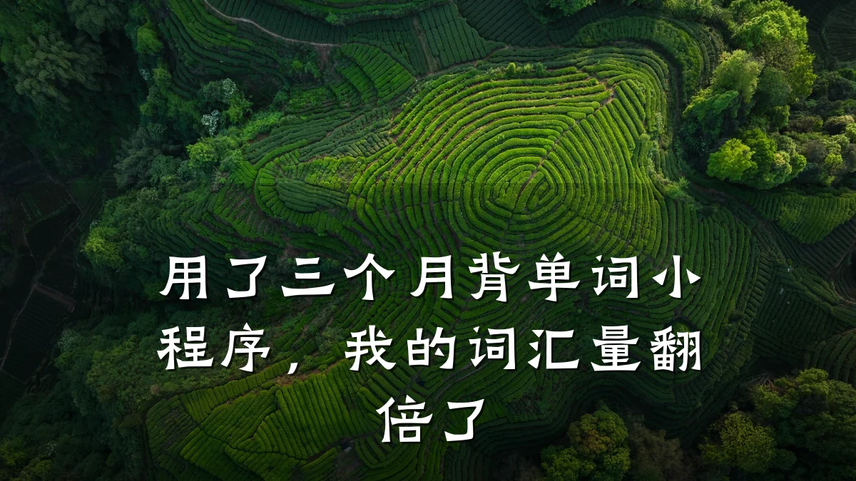 用了三个月背单词小程序，我的词汇量翻倍了