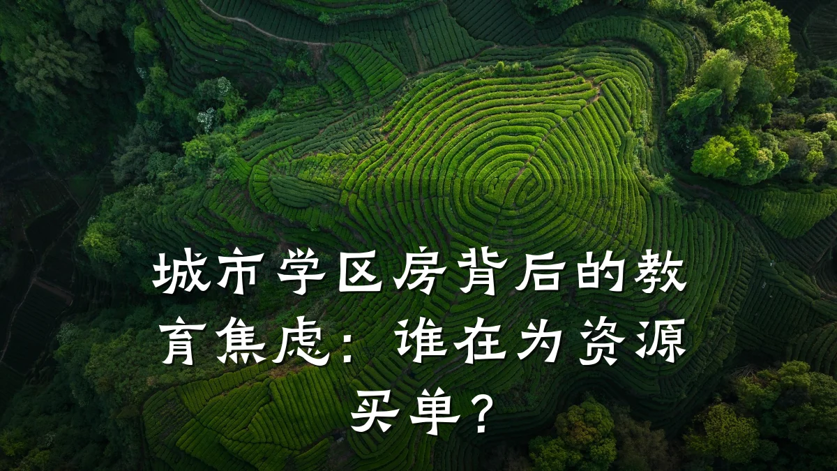 城市学区房背后的教育焦虑：谁在为资源买单？