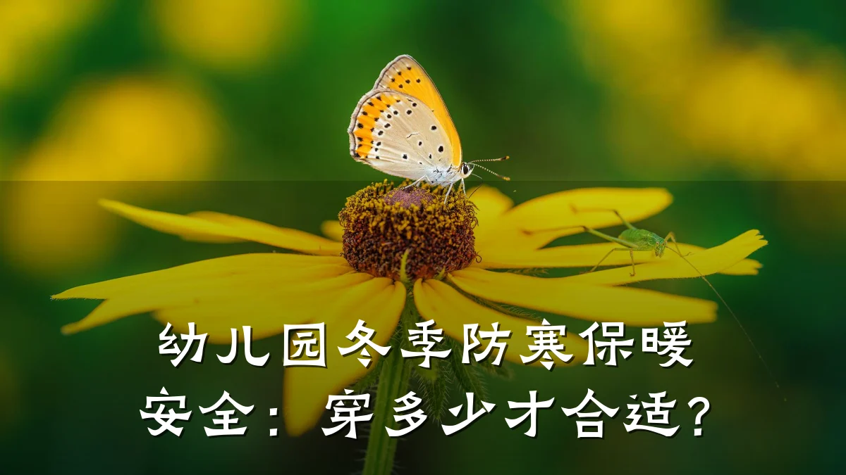 幼儿园冬季防寒保暖安全：穿多少才合适？