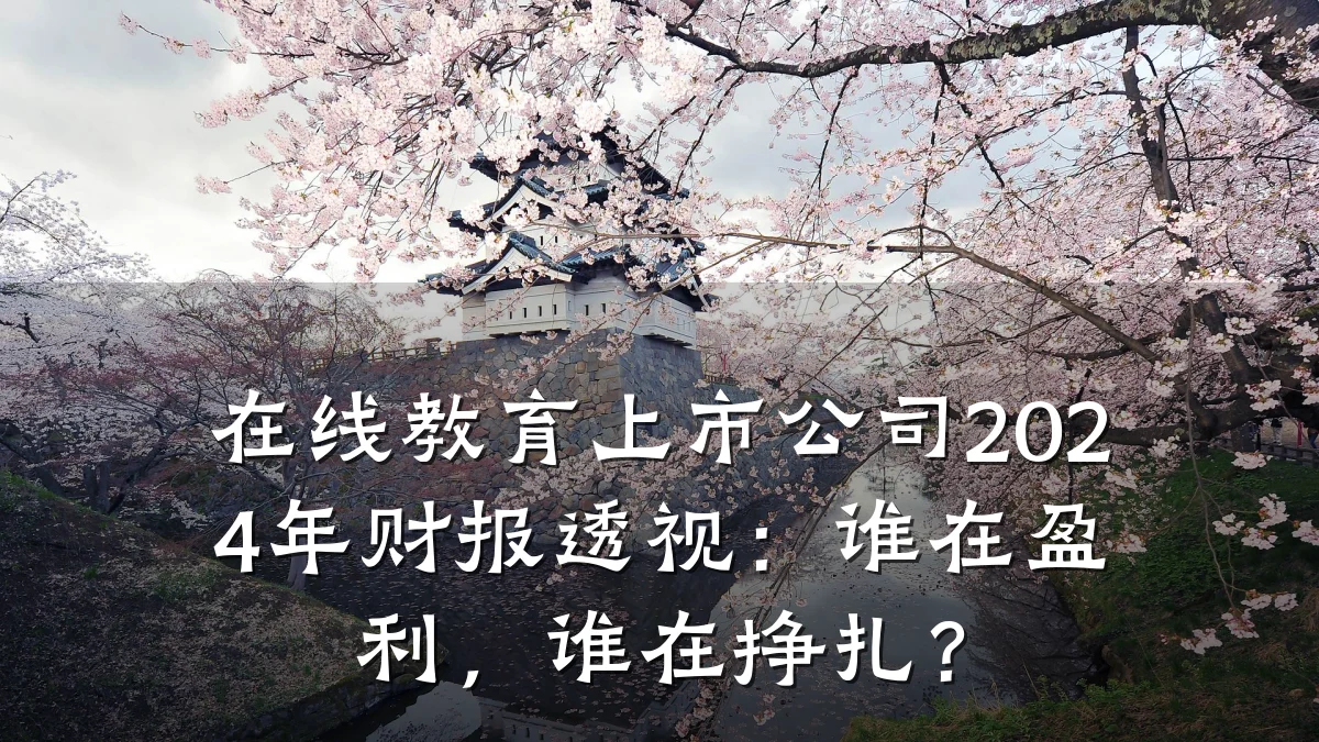 在线教育上市公司2024年财报透视：谁在盈利，谁在挣扎？