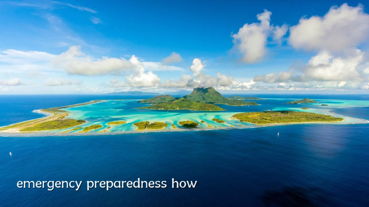 emergency preparedness how