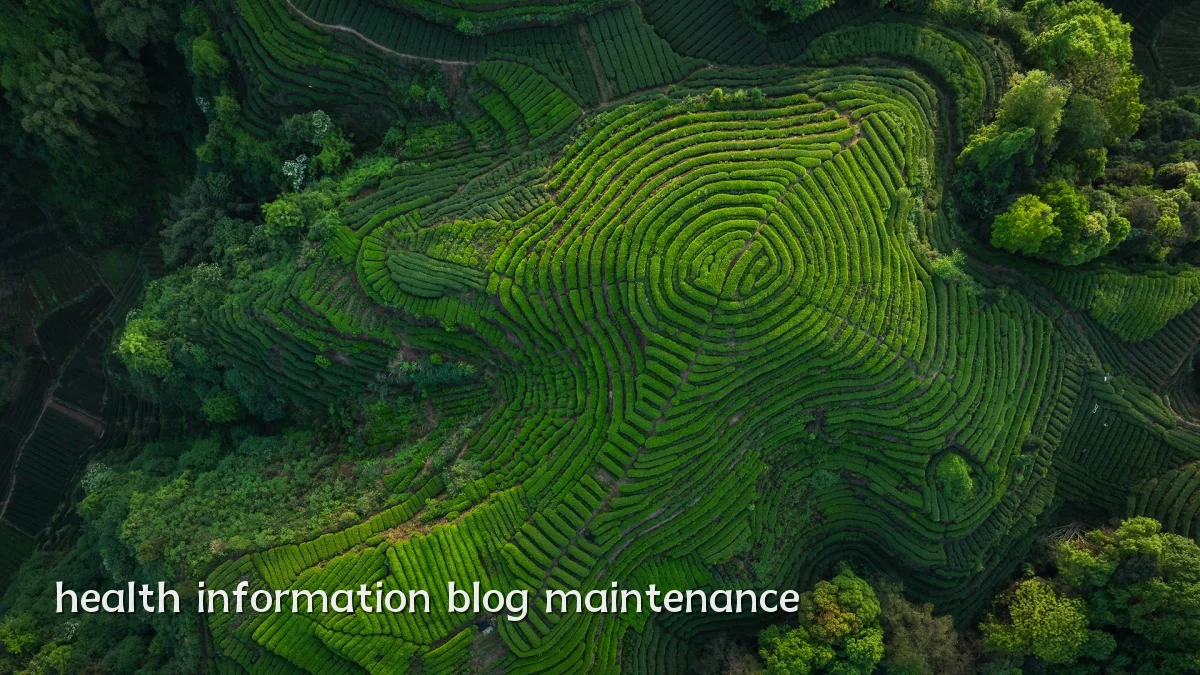 health information blog maintenance