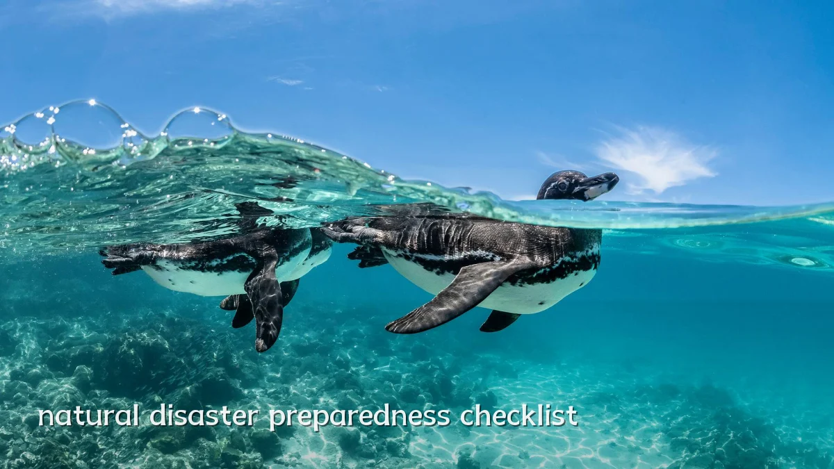 natural disaster preparedness checklist