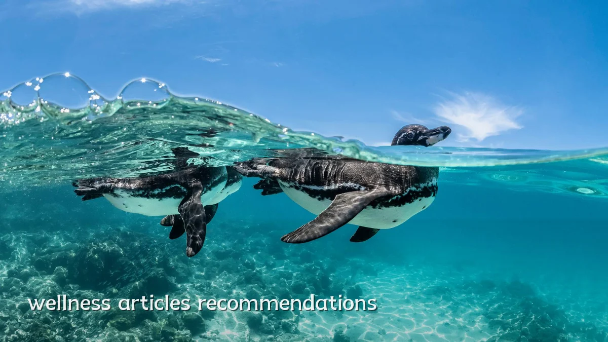 wellness articles recommendations