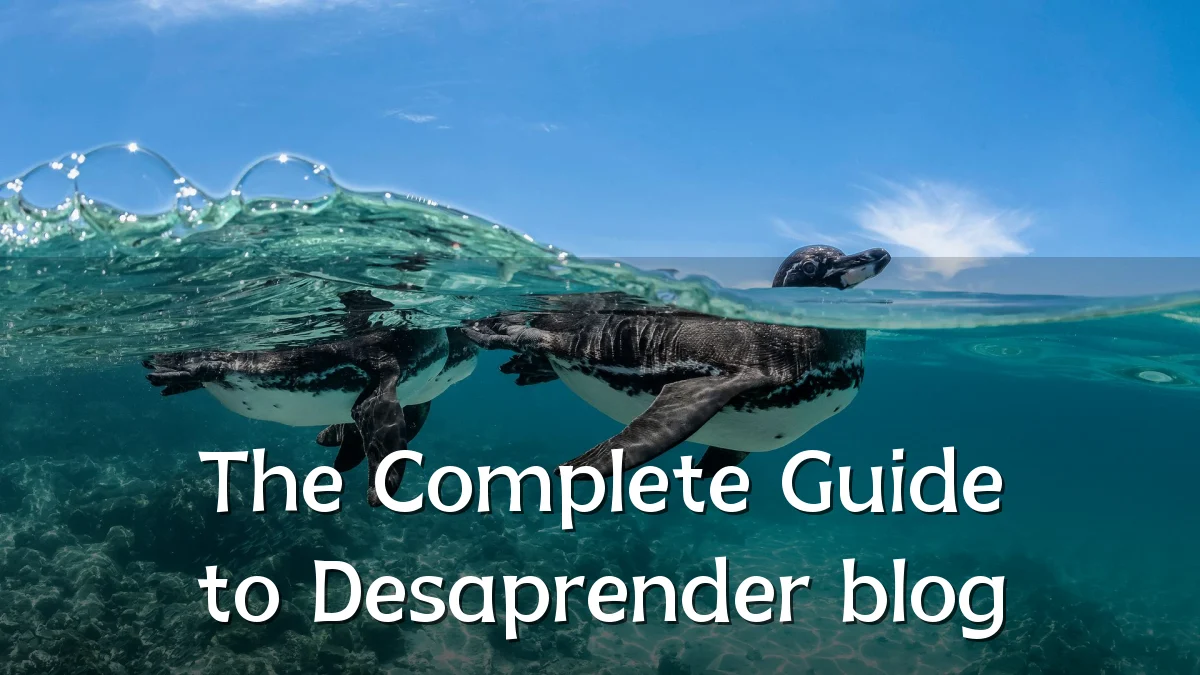 The Complete Guide to Desaprender blog
