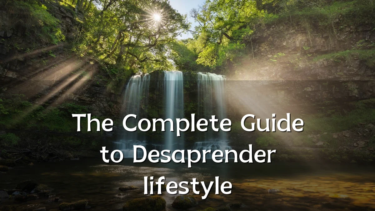 The Complete Guide to Desaprender lifestyle