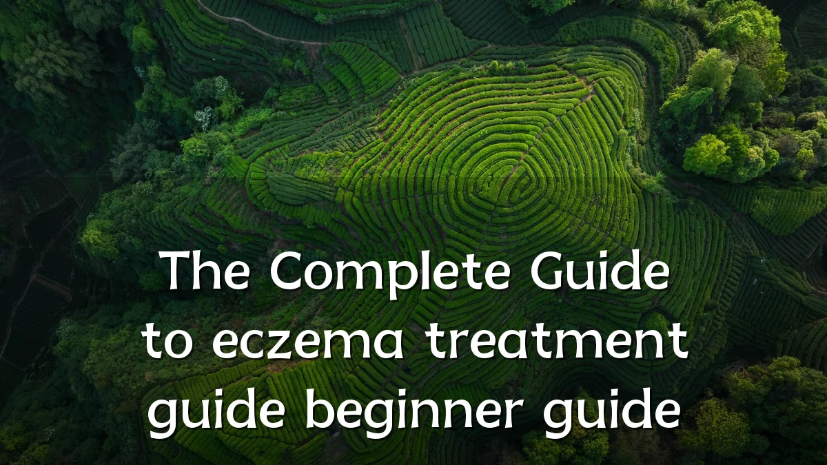 The Complete Guide to eczema treatment guide beginner guide