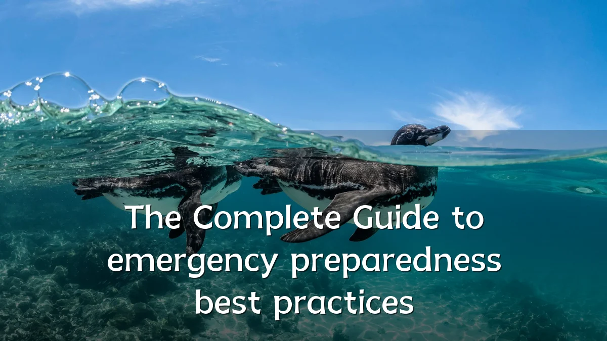 The Complete Guide to emergency preparedness best practices